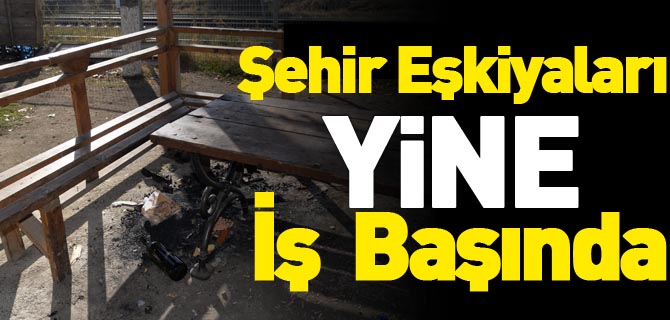 ŞEHİR EŞKİYALARI YİNE İŞ BAŞINDA