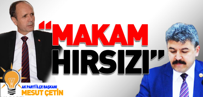 “MAKAM HIRSIZI”