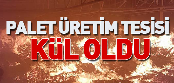 PALET ÜRETİM TESİSİ KÜL OLDU