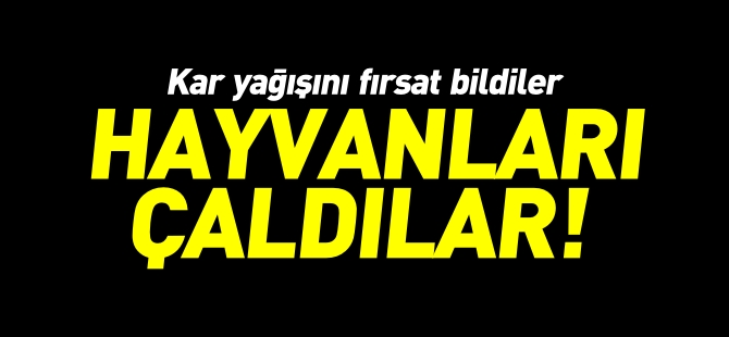 KAR YAĞIŞINDAN FAYDALANARAK İZLERİNİ KAYBETTİRDİLER