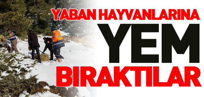 YABAN HAYVANLARI İÇİN YEM BIRAKTILAR