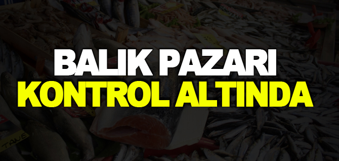 BALIK PAZARI KONTROL ALTINDA