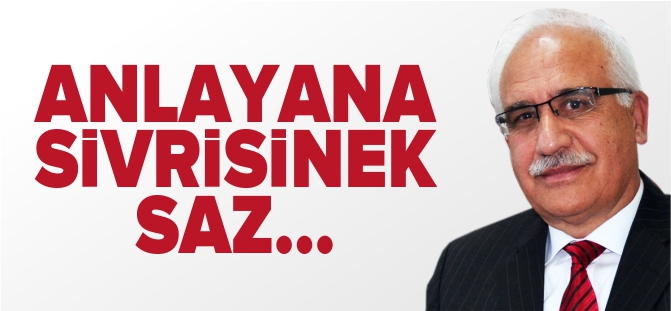 ANLAYANA SİVRİSİNEK SAZ…