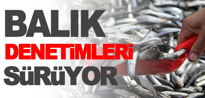 BALIK DENETİMLERİ SÜRÜYOR