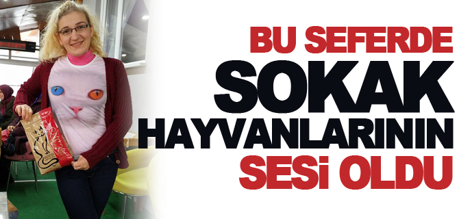 BU SEFERDE SOKAK HAYVANLARININ SESİ OLDU