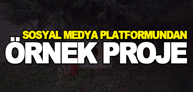 SOSYAL MEDYA PLATFORMUNDAN ÖRNEK PROJE