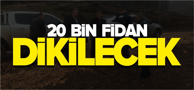 20 BİN FİDAN DİKİLECEK