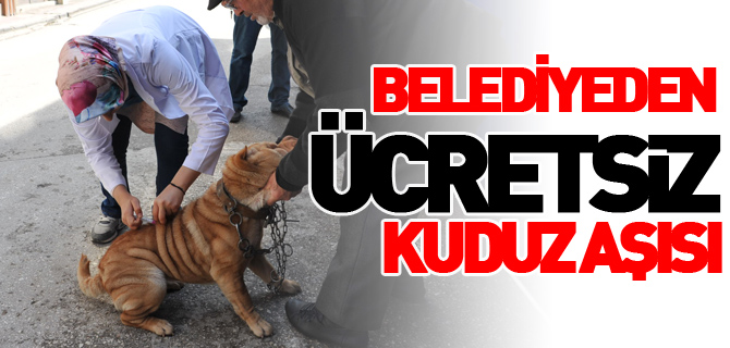 BELEDİYE'DEN ÜCRETSİZ KUDUZ AŞISI