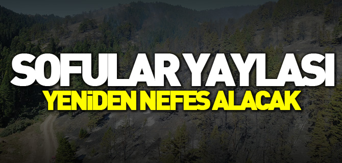 SOFULAR YAYLASI YENİDEN NEFES ALACAK