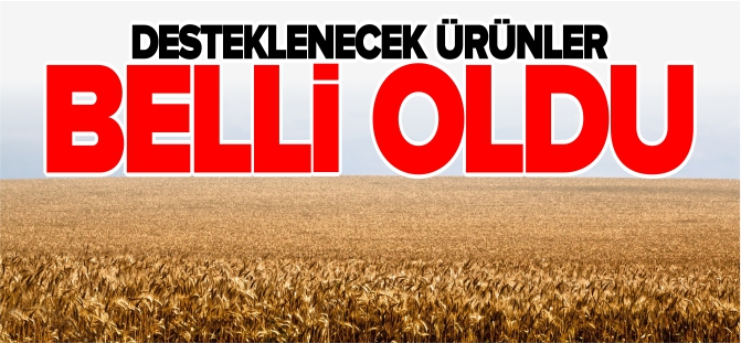 DESTEKLENECEK ÜRÜNLER BELLİ OLDU