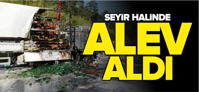 SEYİR HALİNDE ALEV ALDI