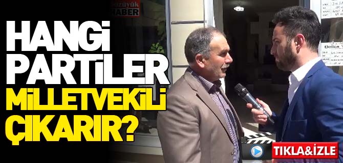 HANGİ PARTİLER MİLLETVEKİLİ ÇIKARIR?