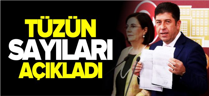 TÜZÜN SAYILARI AÇIKLADI