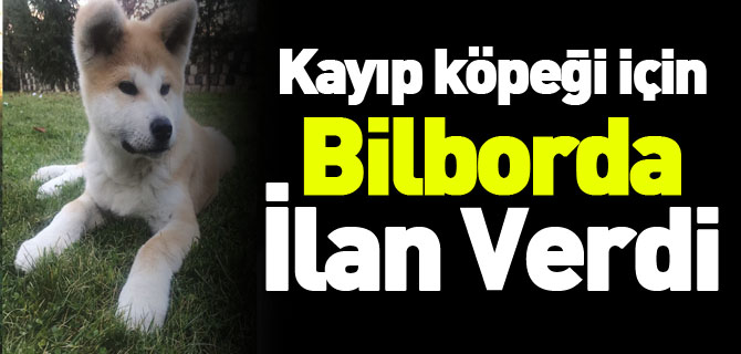 KAYIP KÖPEĞİ İÇİN BİLBORDA İLAN VERDİ