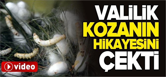 VALİLİK 'KOZANIN HİKAYESİNİ' ÇEKTİ