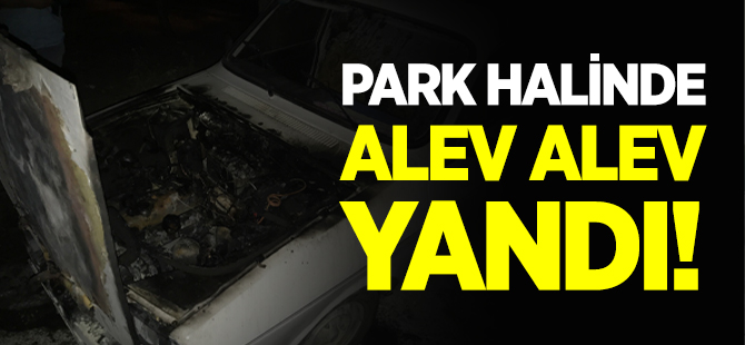 PARK HALİNDE ALEV ALEV YANDI!