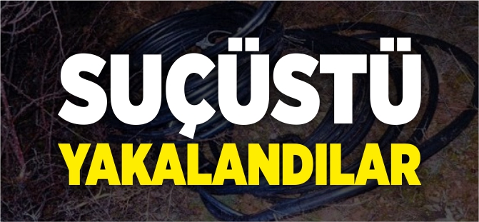 SUÇÜSTÜ YAKALANDILAR