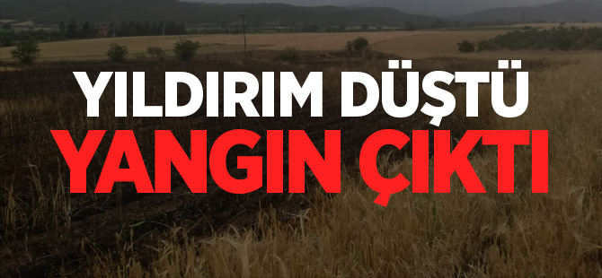 YILDIRIM DÜŞTÜ YANGIN ÇIKTI!