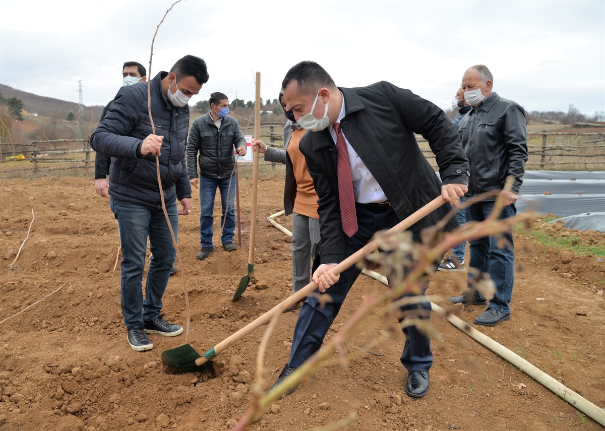 Bilecikli Çiftçinin Yeni Geçim Kaynağı