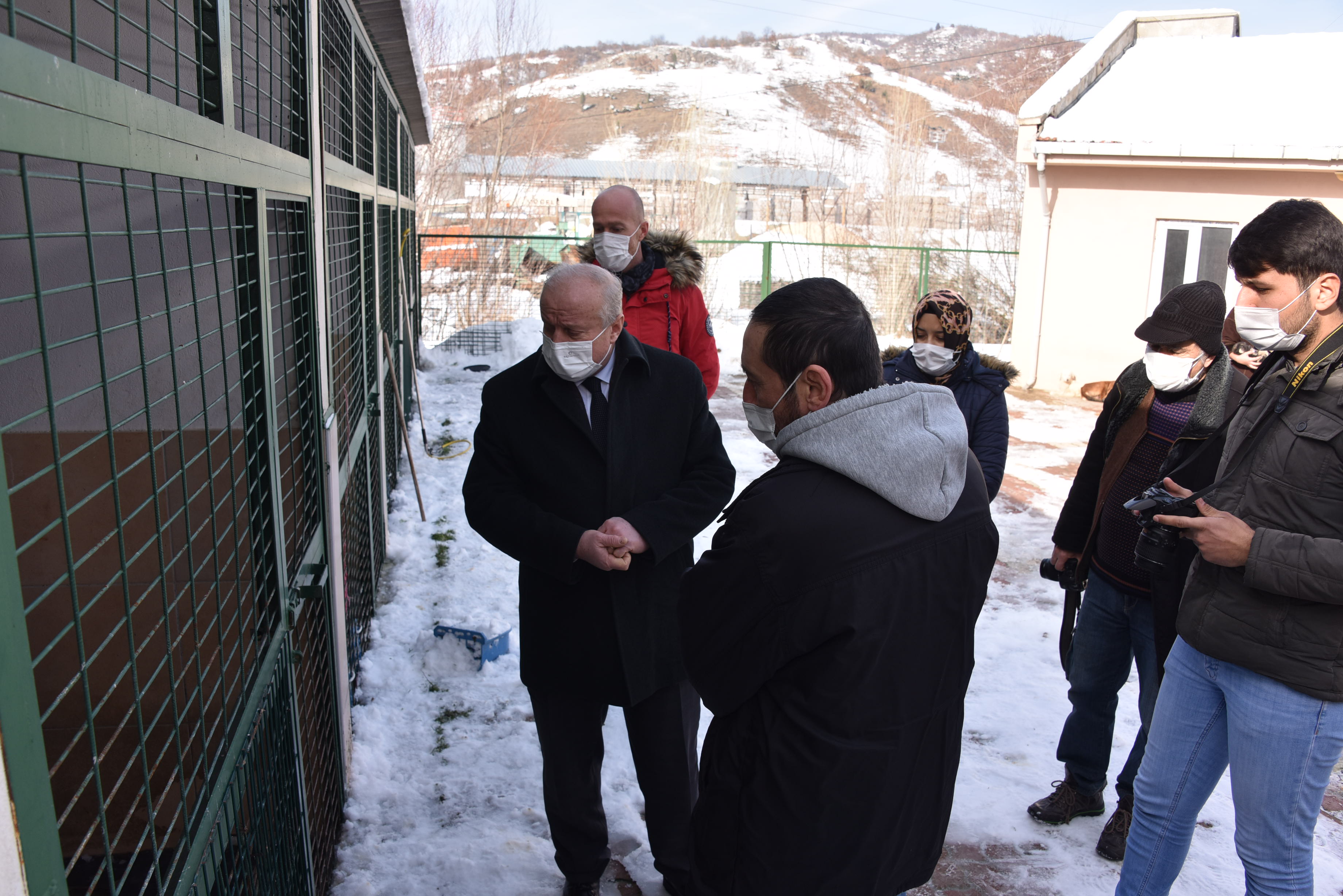 BAYILTILIP ATILAN KÖPEKLERE BELEDiYE SAHiP ÇIKTI