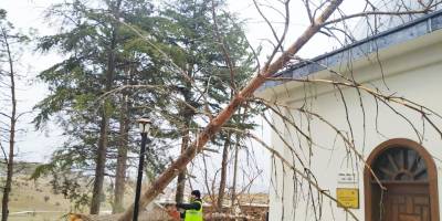 FIRTINA AĞAÇLARI YERİNDEN SÖKTÜ