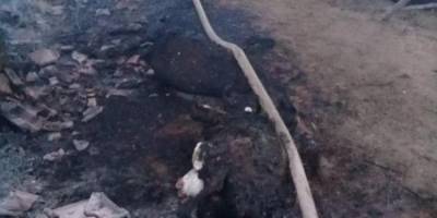 56 Tane Küçükbaş Hayvan Yanarak Telef Oldu