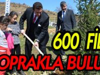 BOZÜYÜK'TE ORMAN HAFTASI'NDA 600 FİDAN TOPRAKLA BULUŞTU