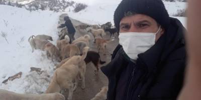 SAHİPSİZ KÖPEKLERİN SAHİBİ OLDULAR