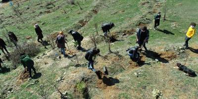 KAHRAMAN KADINLAR İÇİN AĞAÇ DİKİLDİ