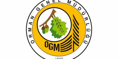 Danışmanlık Hizmeti Alınacak