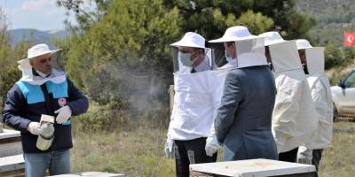 'Varroa' hastalığına karşı ilaç dağıtıldı