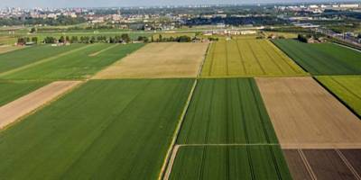 Tarla kiraya verilecek