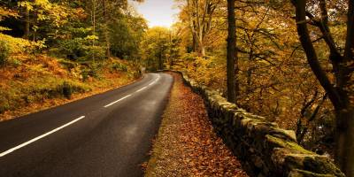 Orman yolu yaptırılacak