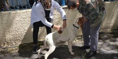 ÜCRETSİZ AŞI KAMPANYASI YOĞUN İLGİ GÖRDÜ