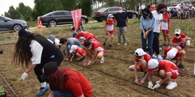 TOHUMLAR TOPRAKLA BULUŞTU