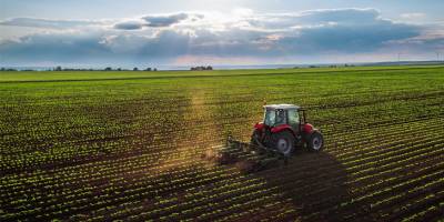 Tarla İhale ile satılacak