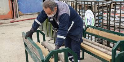 PARKLARDAKİ KAMELYALAR VE OTURMA BANKLARI YENİLENİYOR