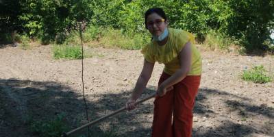 Asker arkadaşının hediye ettiği fidan köyün geçim kaynağı oldu
