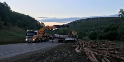 Tomruk yüklü tır devrildi