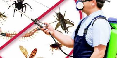 İlaçlama makinası alınacak