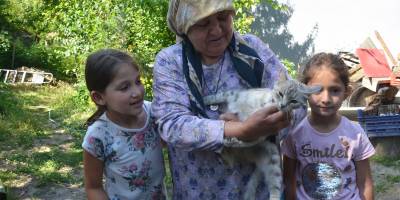 SOKAK HAYVANLARI TEDAVİ EDİLDİ