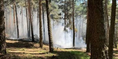 Zamanında müdahaleyle büyümeden söndürüldü