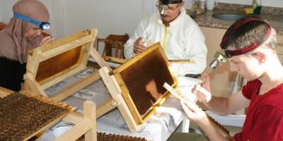 Arı sütüne aile eli değdi