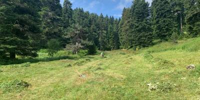 GENÇLİK KAMPININ HAZIRLIKLARI BAŞLADI