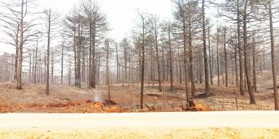 BOZÜYÜK'TEN MANAVGAT'A YARDIM ELİ