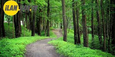 Orman yolu yaptırılacak