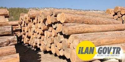 Orman emvali istif hizmeti alınacak