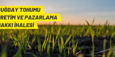 Tohumluk üretim ve pazarlama hakkı ihale ilanı