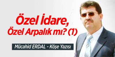 Özel İdare, Özel Arpalık mı? (1)