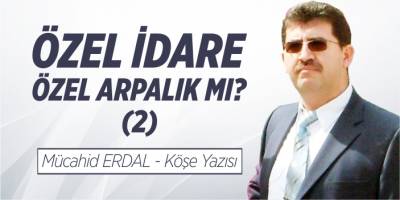 Özel İdare, Özel Arpalık mı? (2)